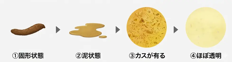 大腸カメラ前の便の状態の目安